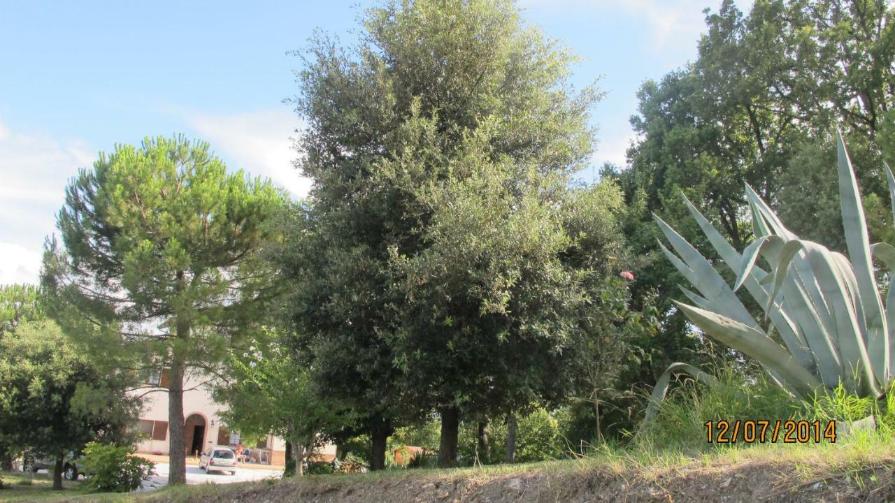 Locanda San Marino Al Coppo Monte Grimano Terme Dış mekan fotoğraf